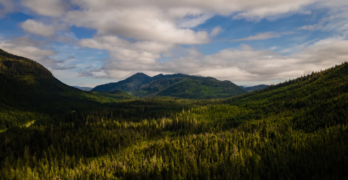 as-melucuti-hutannya-dari-perlindungan-yang-sudah-lama-berpuluh-puluh-tahun