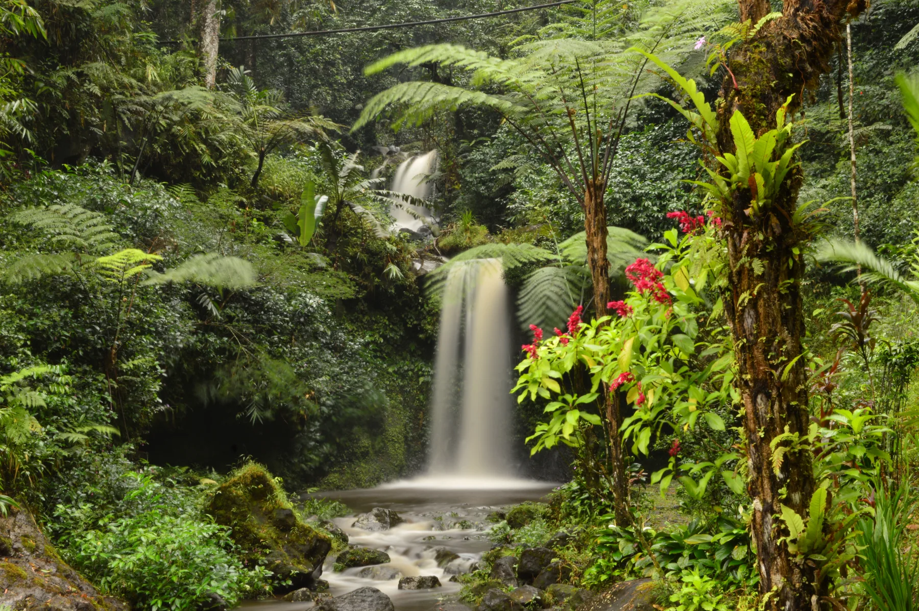 kebun-raya-baturraden:-wisata-alam-menenangkan-di-purwokerto