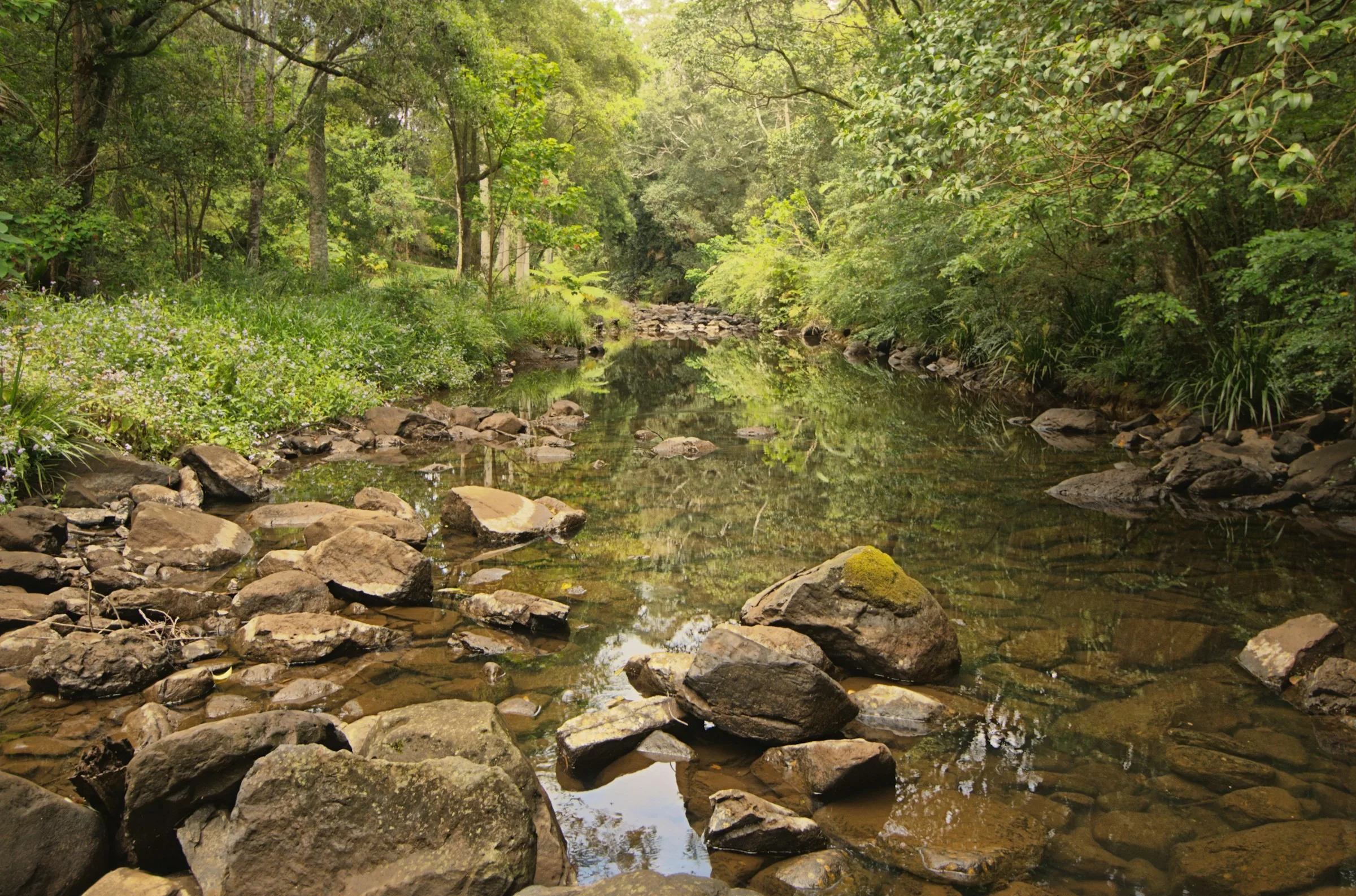 wisata-di-sungai-kromong-pacet,-dari-arung-jeram-sampai-berfoto
