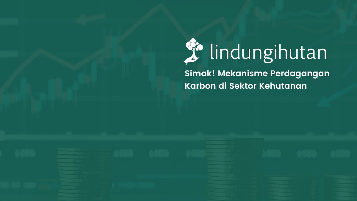 mekanisme-perdagangan-karbon-sektor-kehutanan