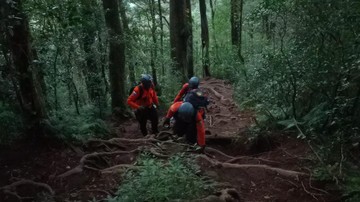 4-pendaki-tersesat-di-gunung-batukaru-bali-dievakuasi-tim-sar