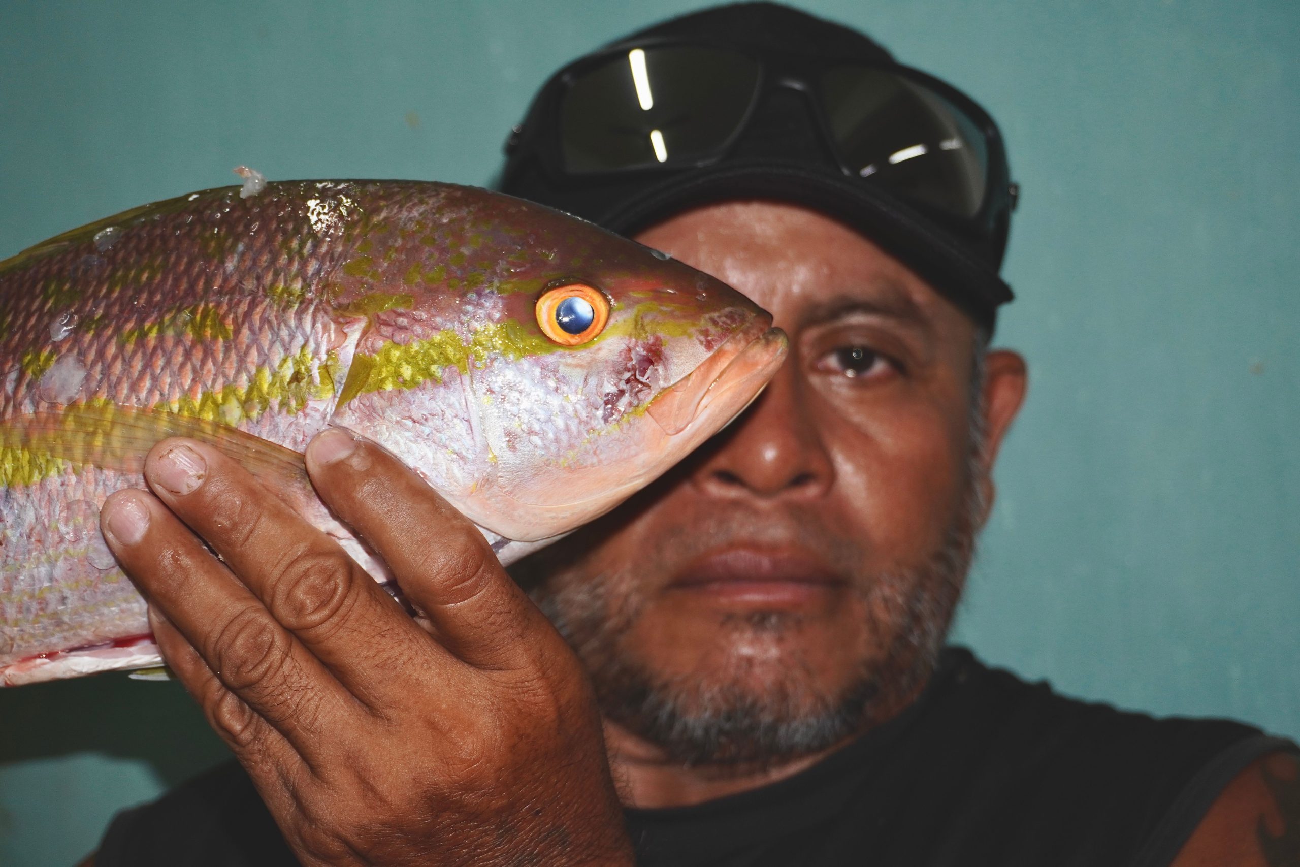 di-pantai-karibia-meksiko,-ada-lobster-untuk-wisatawan-dan-mikroplastik-untuk-semua-orang