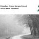 donasi-pohon-brigit:-menghubungkan-spiritualitas-dan-kepedulian-lingkungan