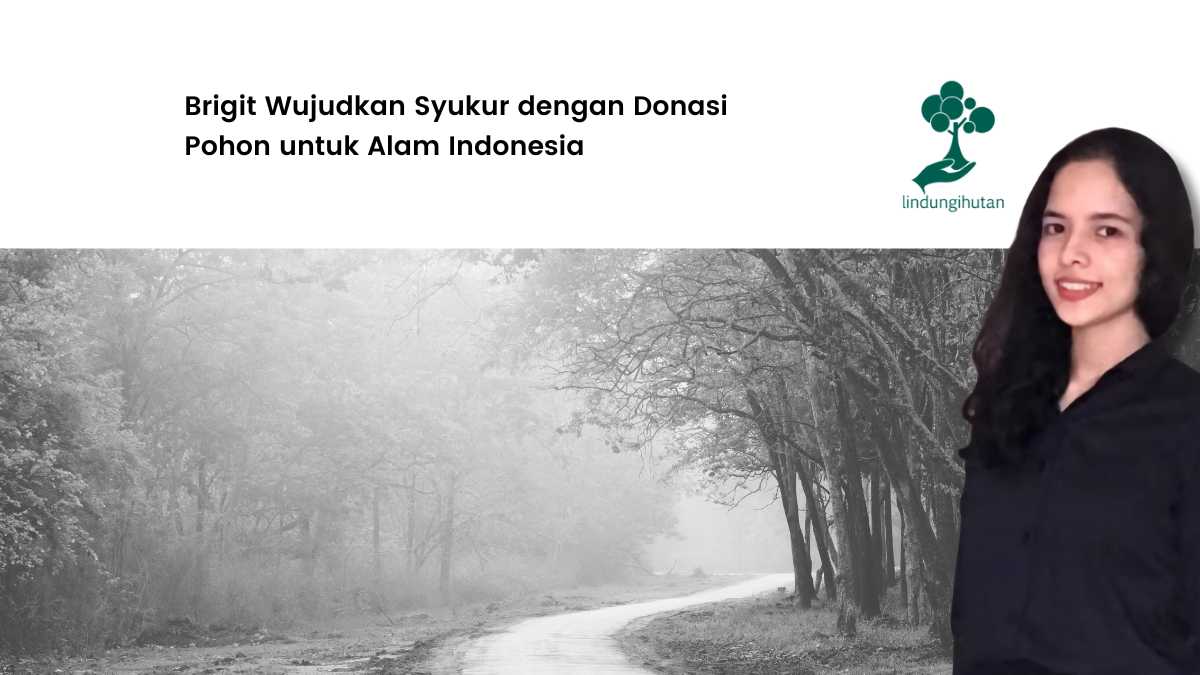 donasi-pohon-brigit:-menghubungkan-spiritualitas-dan-kepedulian-lingkungan