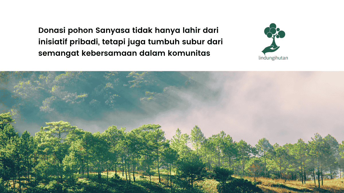 kisah-donasi-pohon-sanyasa-achtsami-dari-sleman
