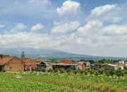 Panduan Perjalanan ke Kota Batu, Malang