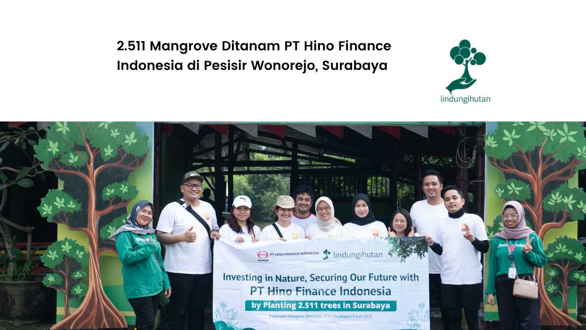 pt-hino-finance-indonesia-tanam-2.511-mangrove-di-pesisir-wonorejo,-surabaya