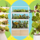 sistem-kebun-indoor-terbaik-(2025),-diuji-dan-ditinjau
