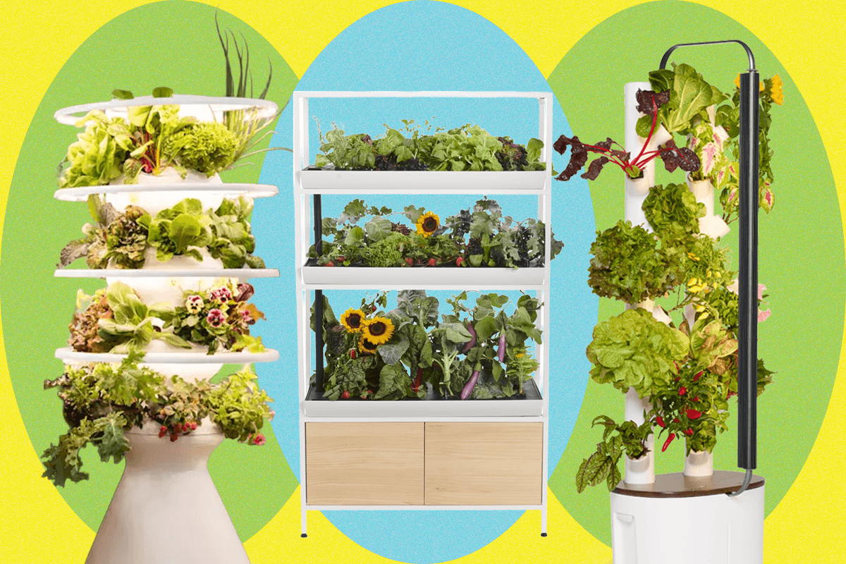 sistem-kebun-indoor-terbaik-(2025),-diuji-dan-ditinjau