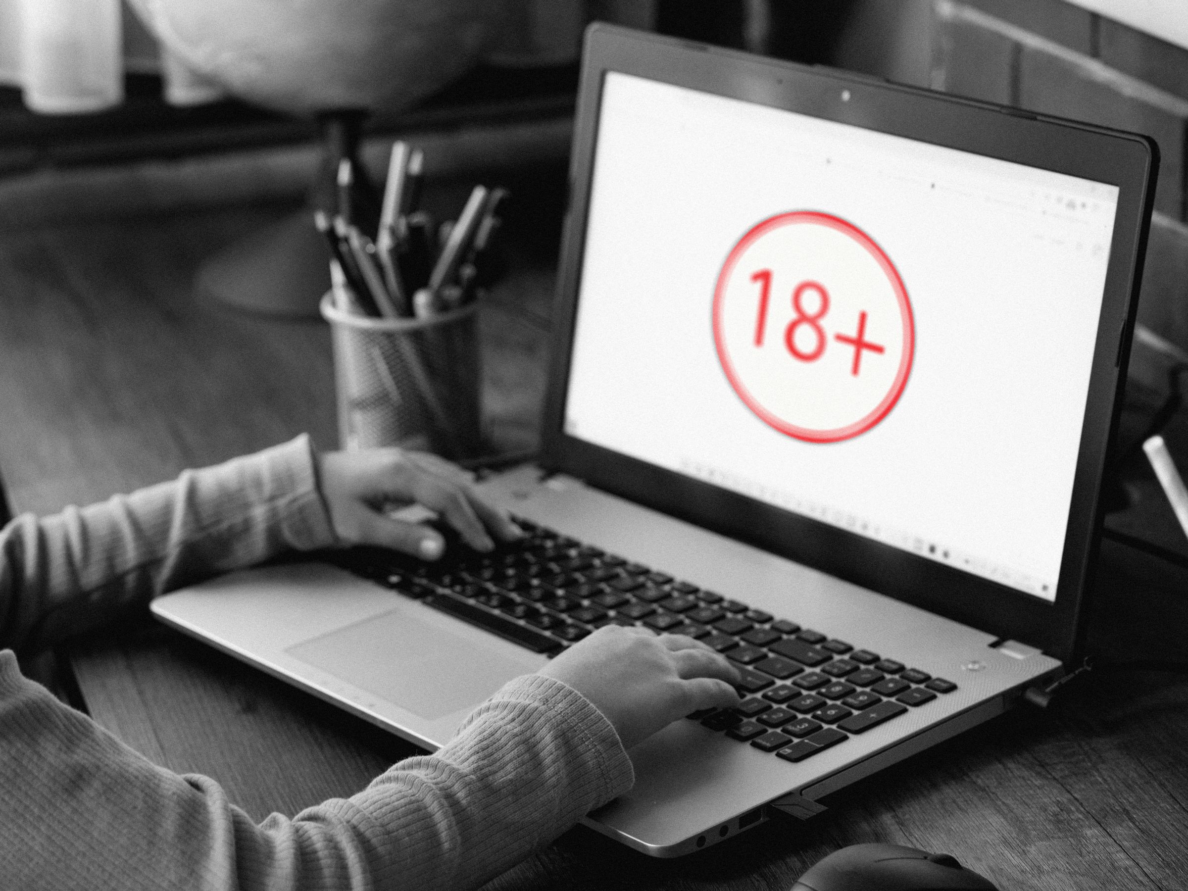 internet-yang-diperiksa-usia-telah-tiba