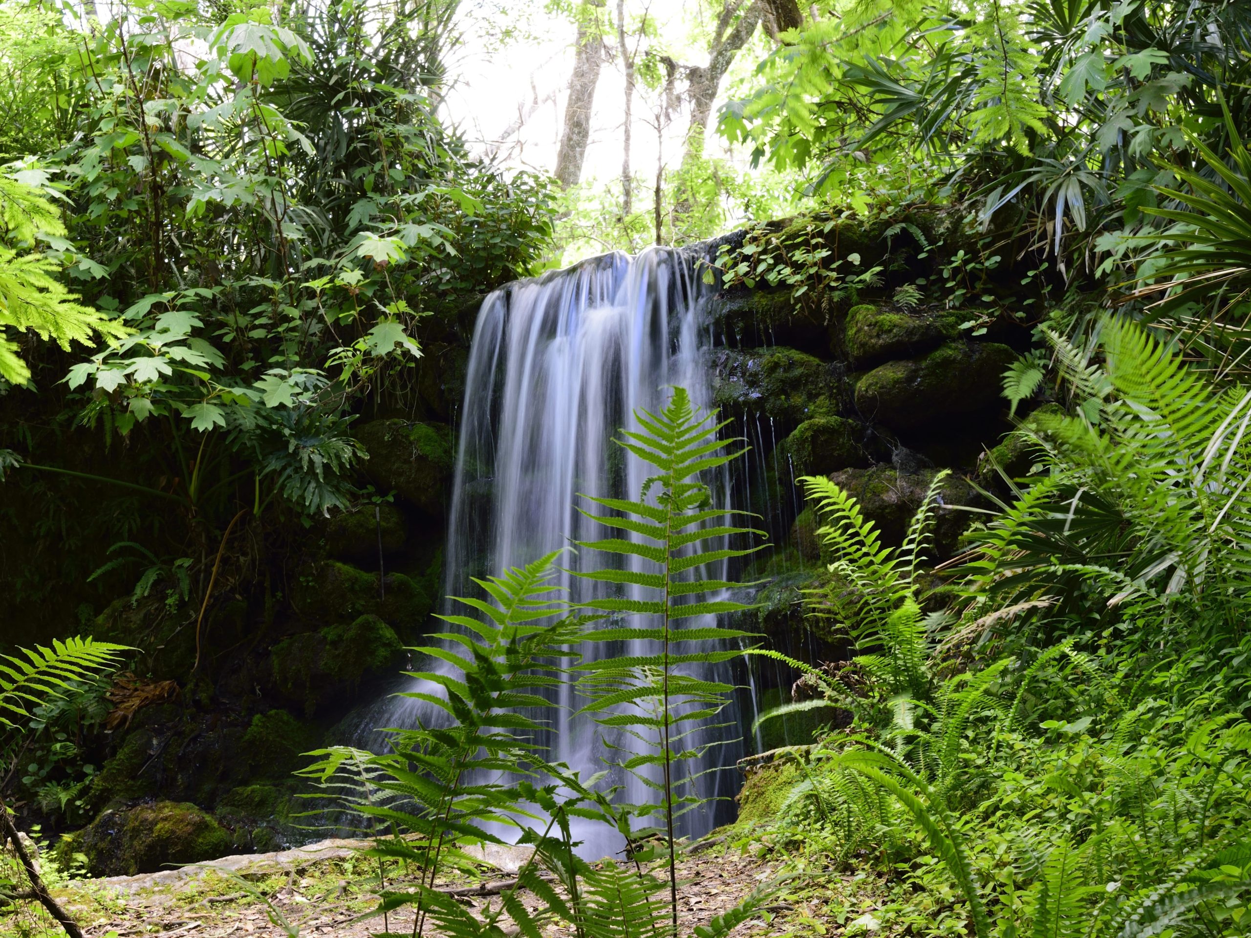 saya-telah-tinggal-di-florida-selama-lebih-dari-25-tahun-lewati-kota-kota-besar-dan-habiskan-waktu-di-5-taman-negara-bagian-yang-indah-ini.