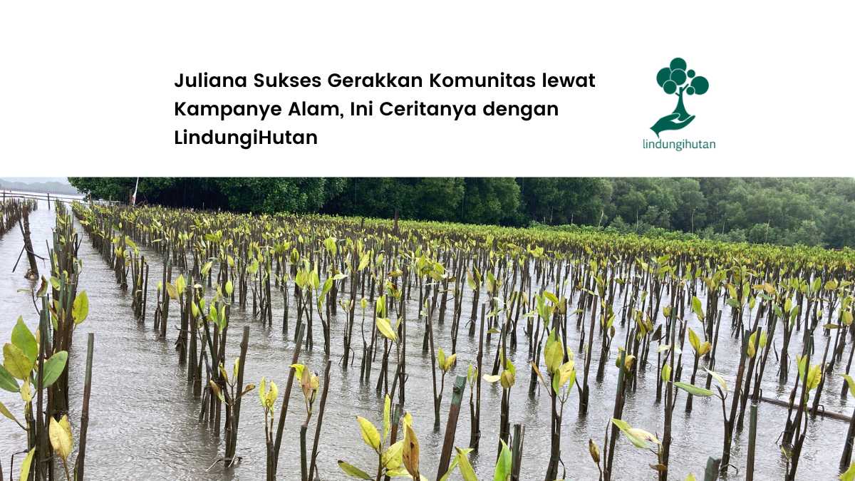 kisah-kampanye-alam-juliana-fajariani-menjadi-campaigner