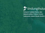 Download Gratis: Carbon Policy – Pemanfaatan dan Status Hutan di Indonesia