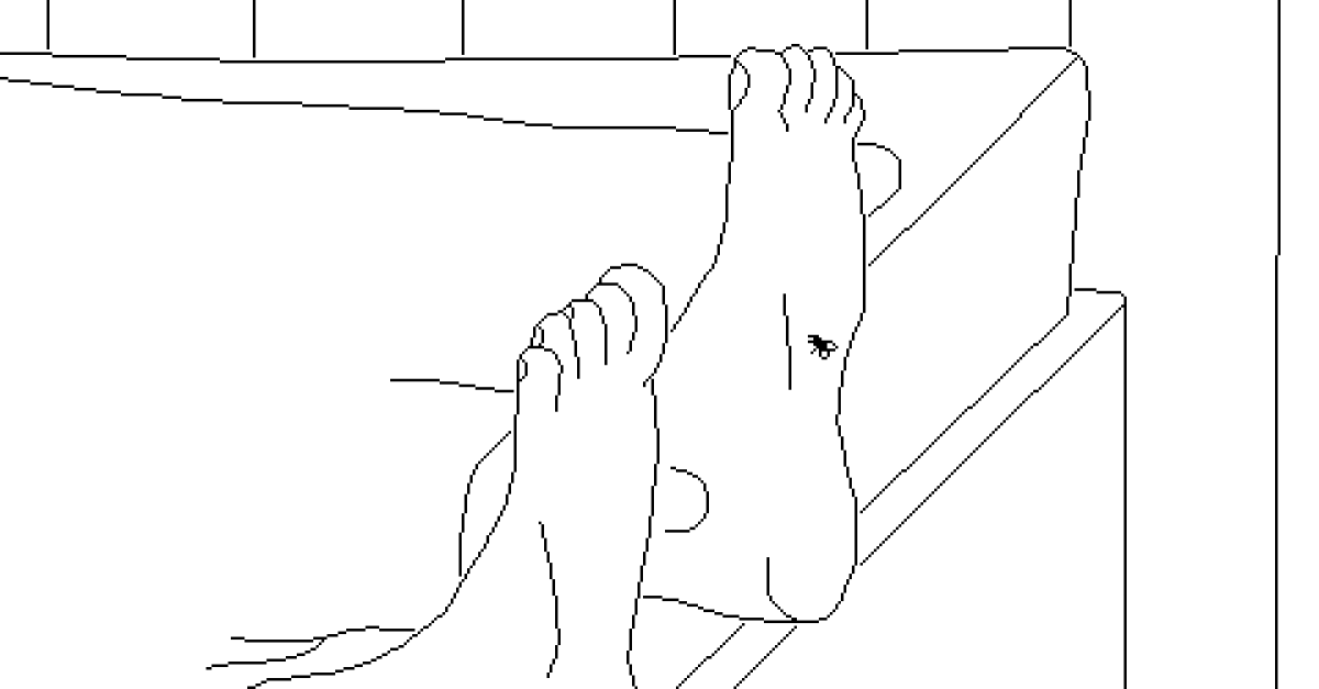 waktu-lalat-adalah-meditasi-singkat-tentang-makna-hidup