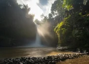 7 Stunning Waterfalls in Ubud to Add to Your Bali Trip