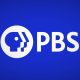 pbs-mengkonfirmasi-pelanggaran-data-setelah-info-karyawan-bocor-di-server-perselisihan