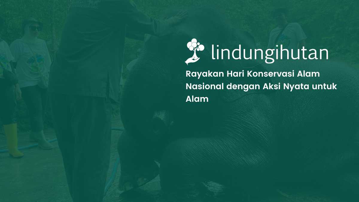 hari-konservasi-alam-nasional:-momentum-kolaborasi-untuk-alam