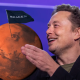 bukan-manusia,-ini-‘makhluk’-pertama-yang-dikirim-elon-musk-ke-mars!