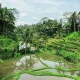 10-tempat-instagramable-bali-yang-cocok-untuk-selfie