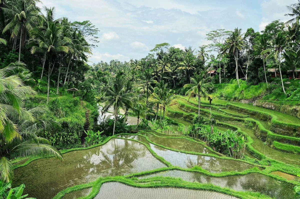 10-tempat-instagramable-bali-yang-cocok-untuk-selfie