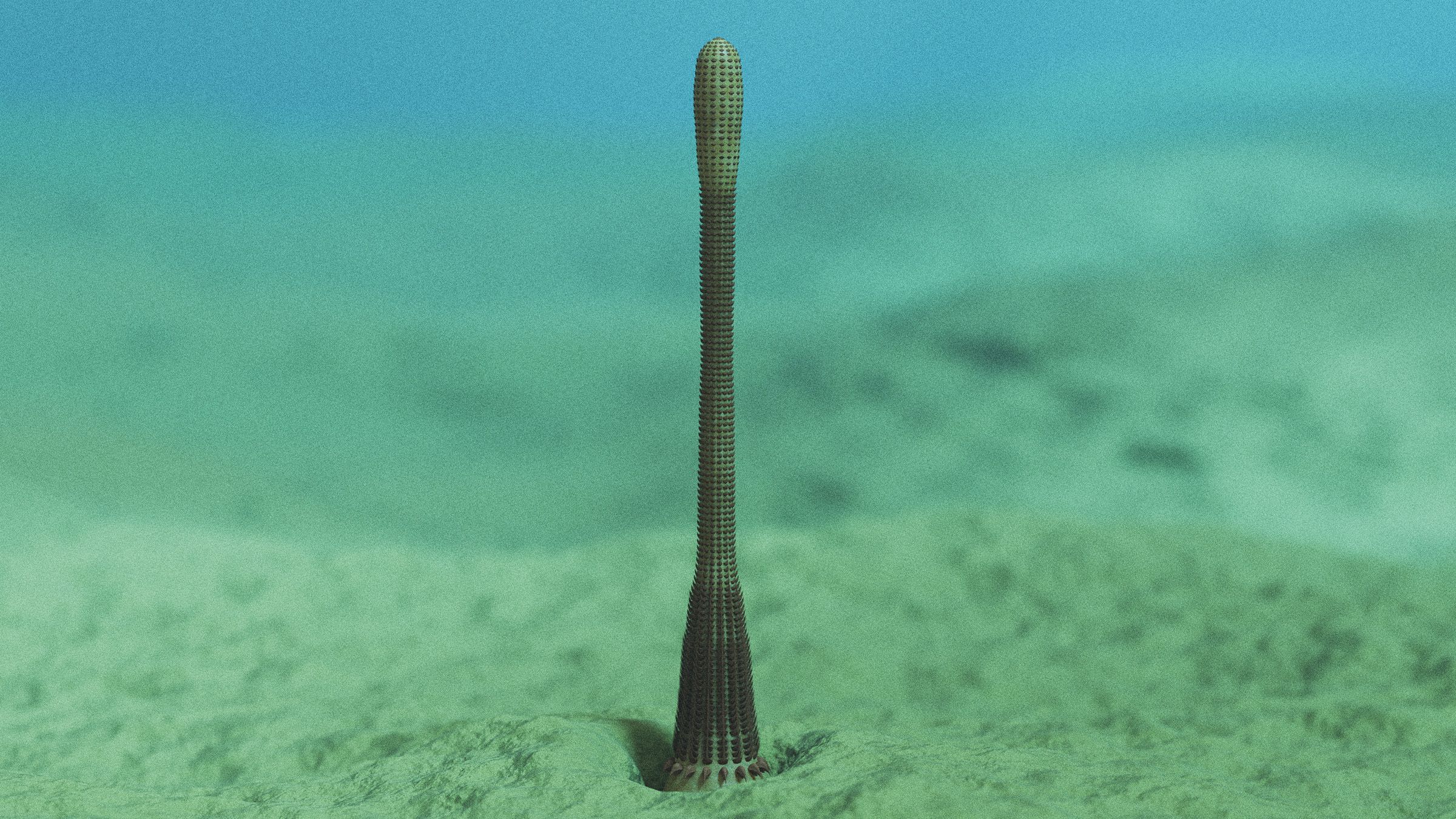 cacing-penis-kuno-dengan-cincin-gigi-tajam-telah-ditemukan-di-grand-canyon