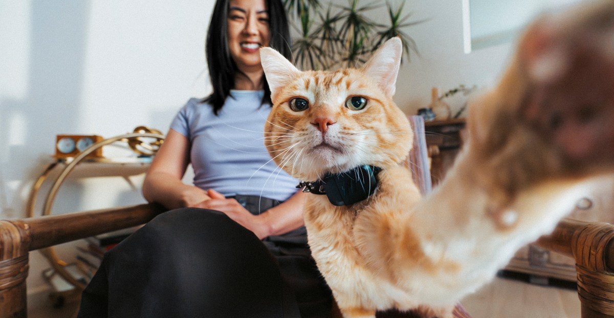 pelacak-pet-mini-fi-baru-memiliki-gps,-dan-itu-hampir-tidak-lebih-besar-dari-airtag