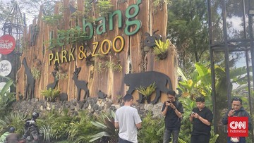 geger-kabar-macan-tutul-lepas,-lembang-zoo-bandung-ditutup