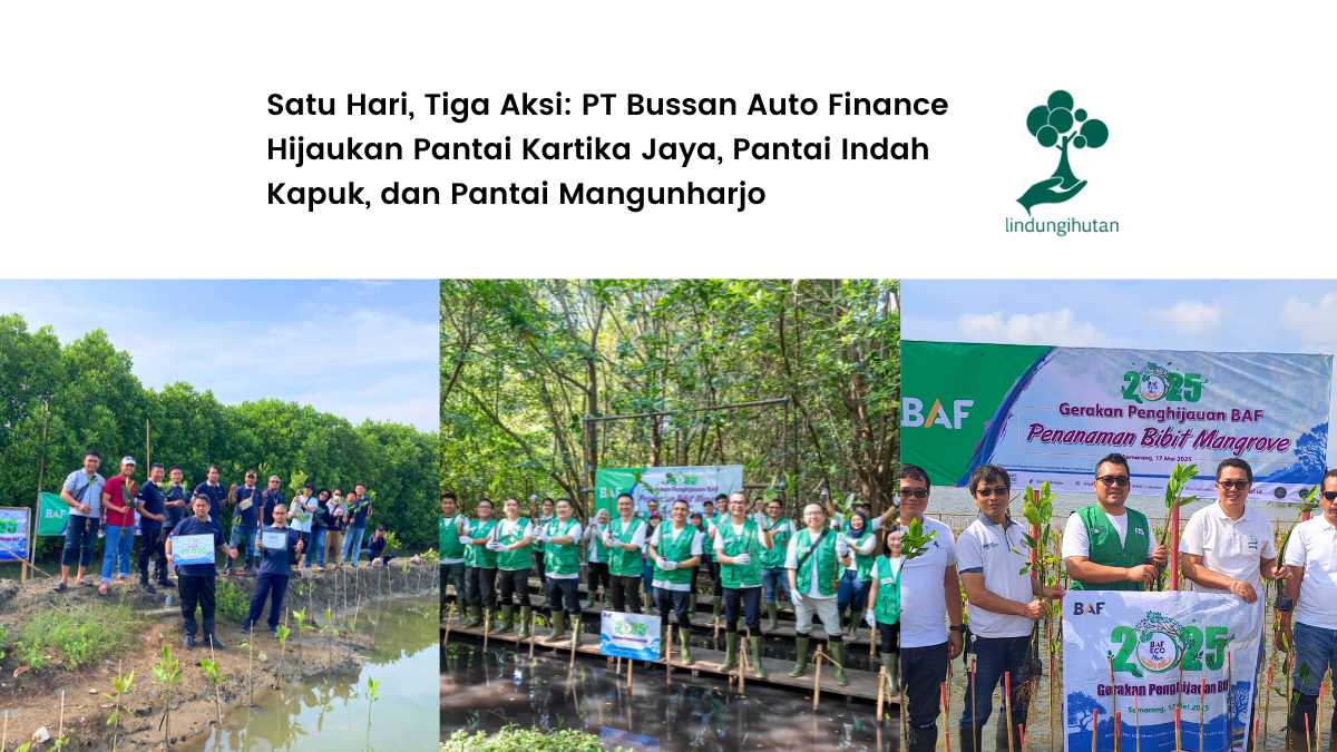 bussan-auto-finance-masuk-daftar-perusahaan-csr-teraktif-dalam-aksi-tanam-pohon-2025