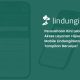 sudah-hadir:-tampilan-baru-homepage-web-mobile-lindungihutan! 