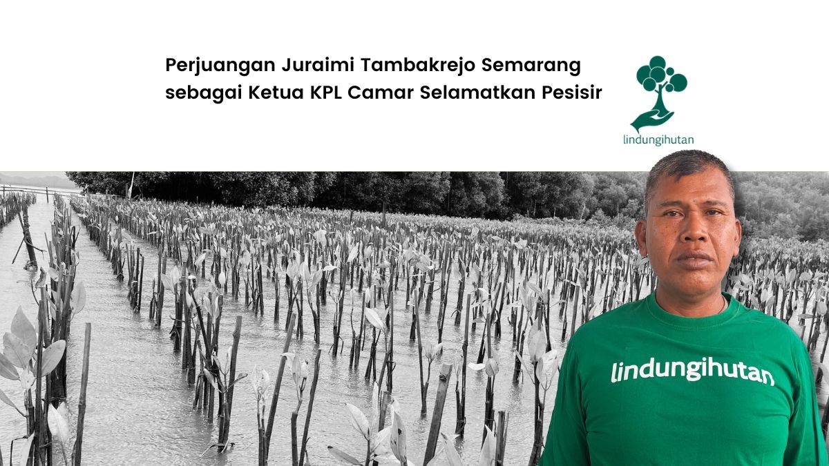 kisah-juraimi-ketua-camar-tambakrejo-semarang-melawan-abrasi