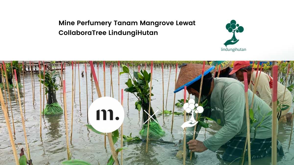 one-perfume-one-tree:-aksi-hijau-mine-perfumery-di-pantai-mangunharjo-semarang