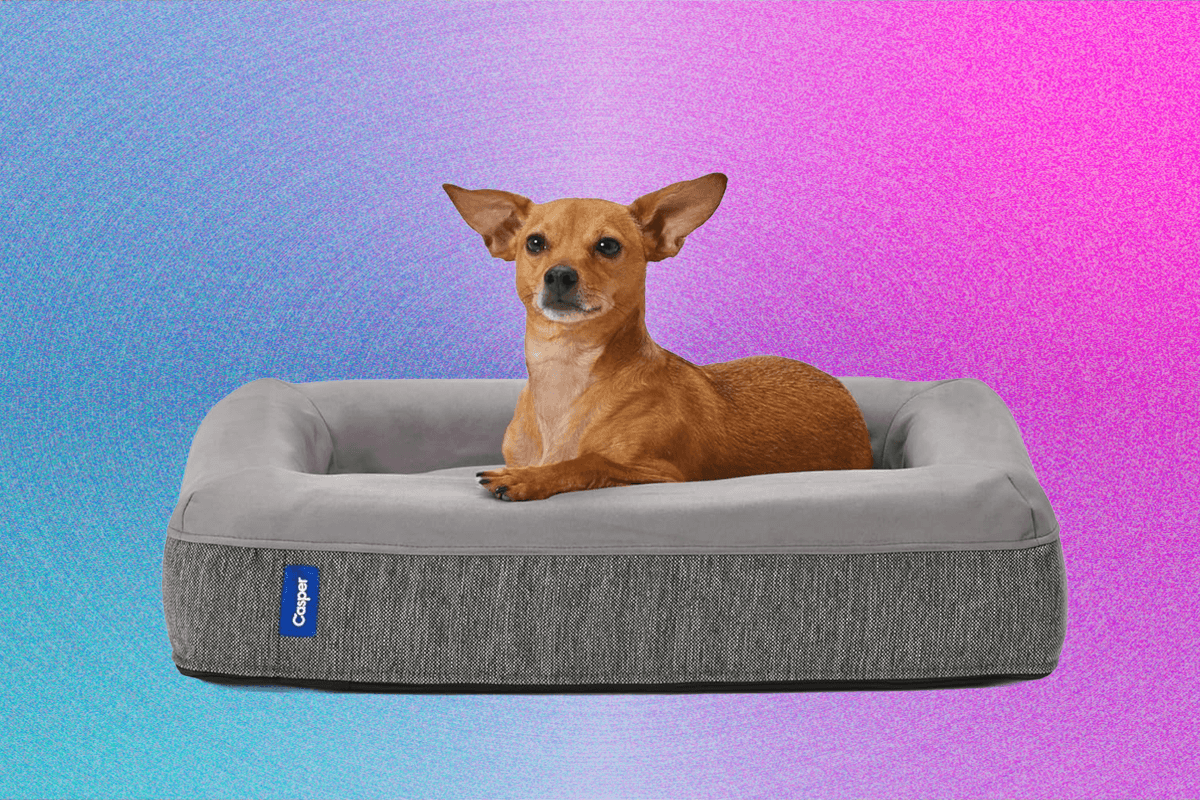 tempat-tidur-anjing-terbaik-(2025):-untuk-semua-jenis-anjing-di-semua-jenis-ruang