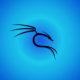 kali-linux-2025.3-dirilis-dengan-10-alat-baru,-peningkatan-wi-fi
