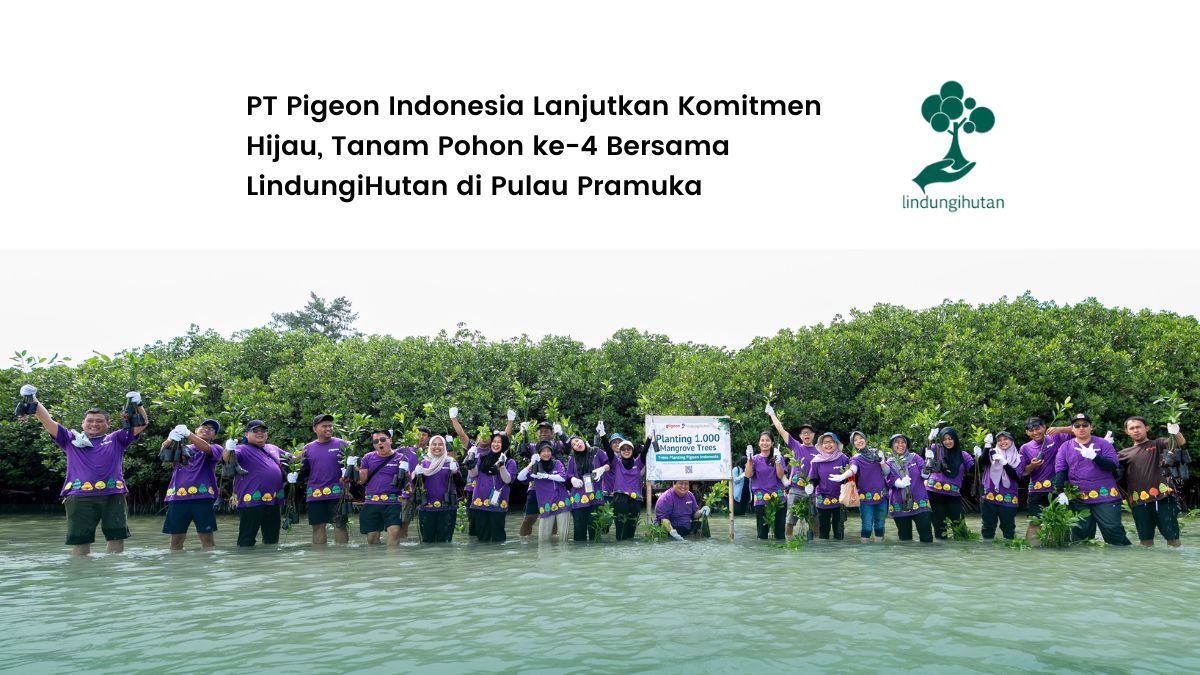 1000-mangrove-pt-pigeon-indonesia-di-pulau-pramuka