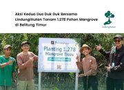 1.278 Pohon Mangrove Kolaborasi Kedua Dus Duk Duk di Kabupaten Belitung Timur