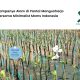 minimalist-moms-indonesia-gelar-aksi-hijau-di-pantai-mangunharjo-semarang