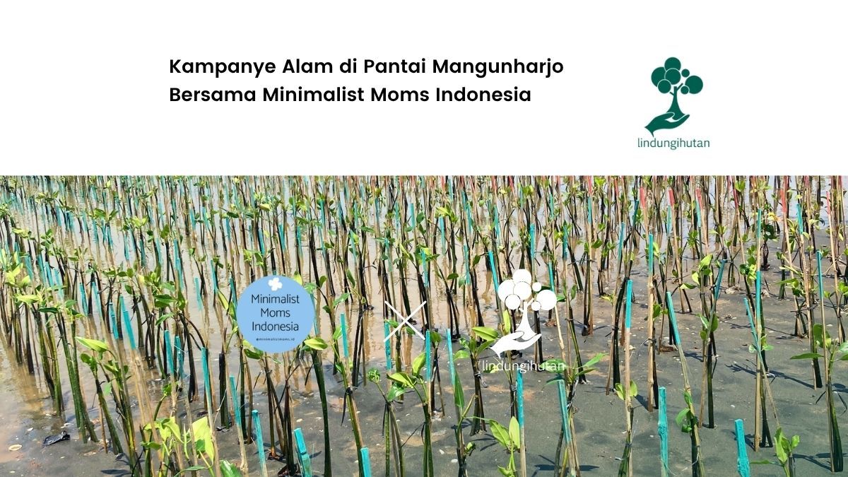 minimalist-moms-indonesia-gelar-aksi-hijau-di-pantai-mangunharjo-semarang