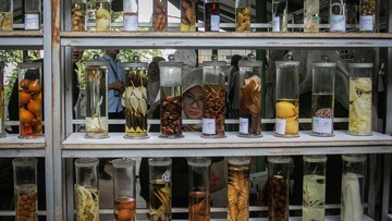 foto:-wisata-medis-hortus-medicus,-surga-tanaman-obat-asli-indonesia