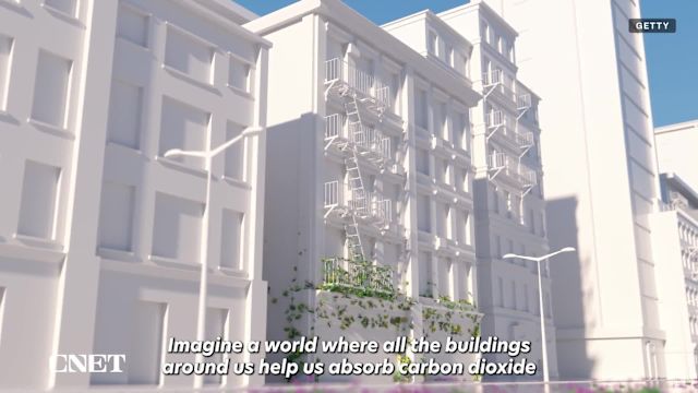 startup-teknologi-yang-mempunyai-misi-untuk-mendekarbonisasi-beton