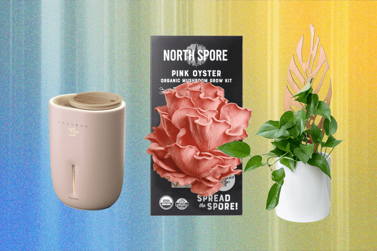 14-hadiah-terbaik-untuk-pecinta-tanaman-yang-kami-beli-sendiri-(2025)