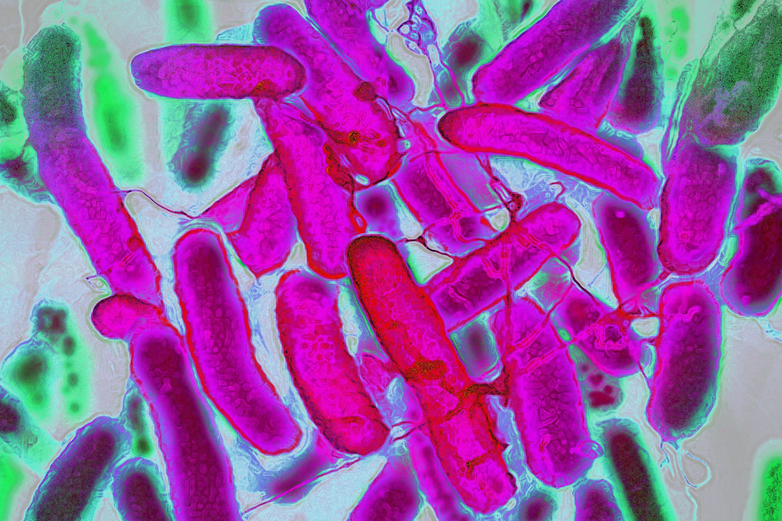 bakteri-resisten-maju-lebih-cepat-dibandingkan-antibiotik