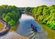 Panduan Wisata Hutan Mangrove Wonorejo, Permata Alam Surabaya