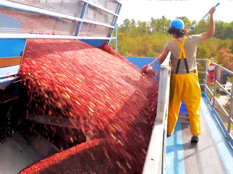 bagaimana-orang-amerika-menghabiskan-$2-miliar-untuk-makanan-saat-thanksgiving