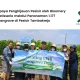 bloomery-patisserie-tanam-1.177-mangrove-di-pesisir-tambakrejo