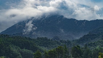 tnggp-bantah-pendakian-gunung-gede-pangrango-dibuka-kembali-5-november