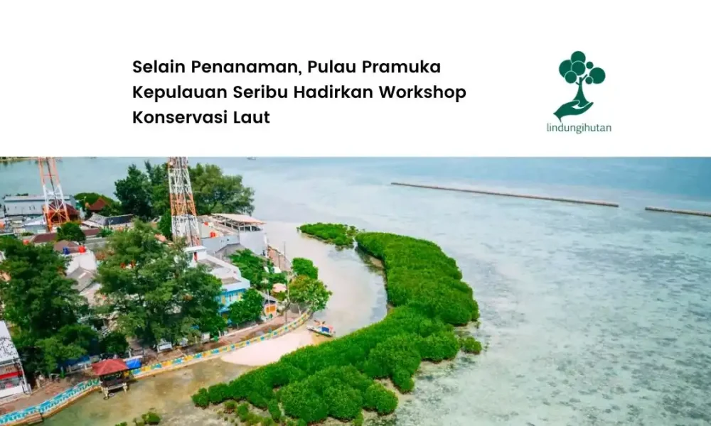 pulau-pramuka-kepulauan-seribu-hadirkan-workshop-edukatif-dan-konservasi-terumbu-karang