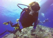 13 Spot Snorkeling Lombok Paling Indah