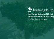 Hari Pohon Sedunia 2025: Saatnya Donasi Pohon