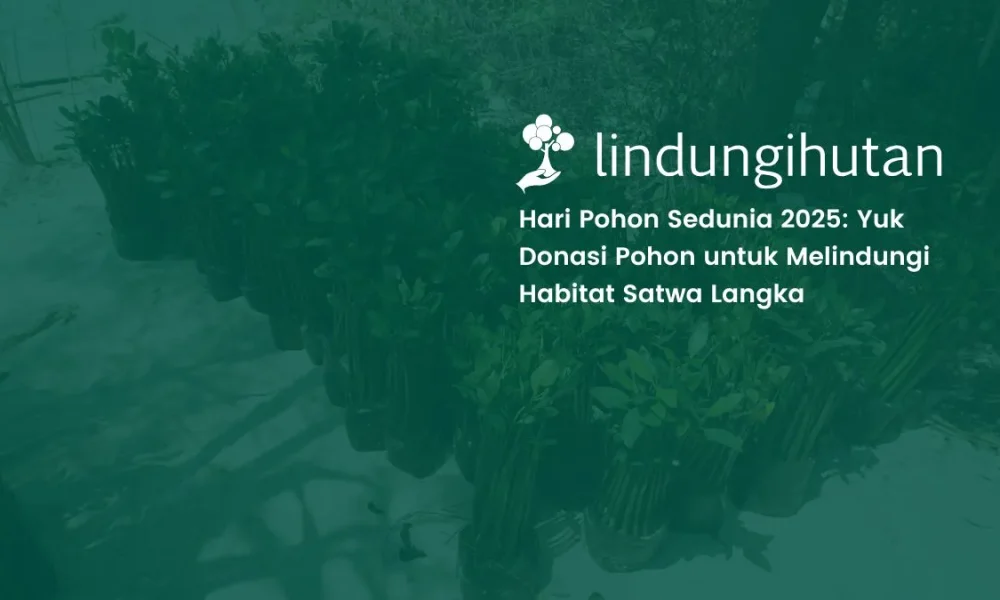 hari-pohon-sedunia-2025:-saatnya-donasi-pohon