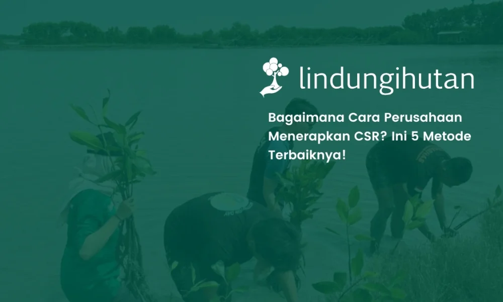 5-langkah-penerapan-csr-lingkungan-di -perusahaan